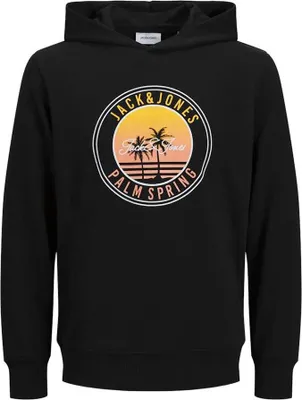 Productafbeelding van Jack & Jones Palmhoodie, zwart, heren, maat S, zwart