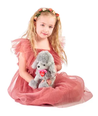Image de Lily caniche gris, 25cm