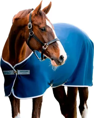 Obrázok produktu pre Amigo Jersey Cooler Trockenmatte Blau 155-206 cm Blau 155-206 cm
