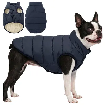 Hundewinterjacke wasserdicht winddicht warm Fleece (L, Blau)