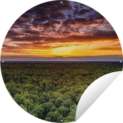 Produktbild von MuchoWow® Gartenposter Outdoor-Poster Rund Wald - Nacht - Himmel - Horizont - Bäume Ø 60 cm Gartendeko Rundes Poster draußen