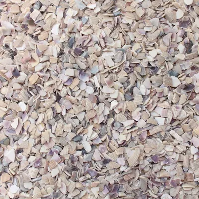 Produktbild von 1kg Muschelgranulat echte Muscheln Dekogranulat Muschelsplitter 2-3mm Strand Meer