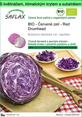 Obrázek produktu pro SAFLAX Garden to go - BIO - Červené zelí - Red Drumhead - Brassica oleracea var. capitata - 250 Semena - S květináčem, klimatickou poklicí a pěstebním substrátem