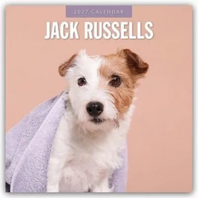 Immagine prodotto di Jack Russell - Calendario Jack Russell Terrier 2027 - Calendario da 16 mesi