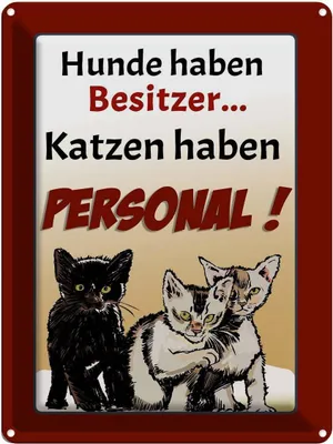 Produktbild von vianmo Blechschild 40x30 cm Hunde haben Besitzer Katzen Katze