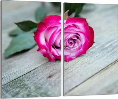 Image de Plaques de recouvrement pour cuisinière 2 pièces 30x52 Couvercle pour plaque vitrocéramique verre, bois rose