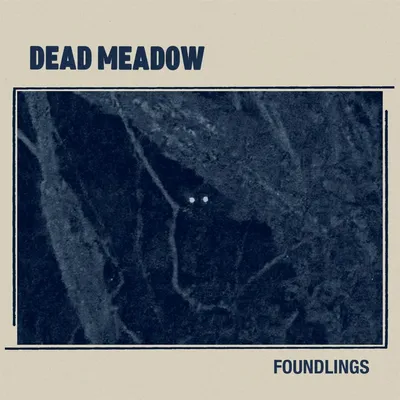 Image de Foundlings (édition limitée sur vinyle bleu)