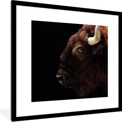 Produktbild von MuchoWow® Gerahmtes Poster Bison - Horn - Porträt 40x40 cm - Poster mit Schwarzem Bilderrahmen Wandposter Rahmen Foto Bilder - Poster - Plakat im Rahmen