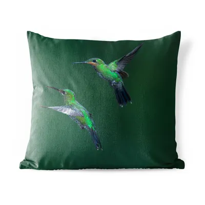 Obrázek produktu pro MuchoWow® Vnější polštář - Ptáci - Kolibřík - Zelený -60x60 cm- Odolnost proti povětrnostním vlivům - polštář do obývacího pokoje