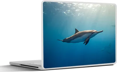 Produktbild von MuchoWow® Laptop Aufkleber Sticker Cover Delfin - Meer - Sonne 30x21 cm - Sticker für Laptop - Selbstklebend