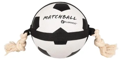 Image de Ballon de football matchball pour chien 20 cm avec corde