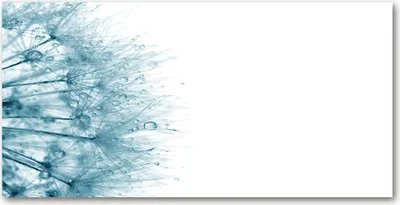 Produktbild von Tulup Glas-Bild -140x70- Wandkunst Dekorative Wand für Küche & Wohnzimmer - Blumen & Pflanzen - Löwenzahn - Grau