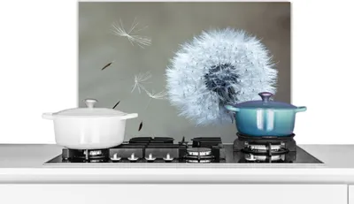 Produktbild von KitchenYeah®  Spritzschutz Küche - Küchenrückwand - Wandschutz für Herd und Spüle - Löwenzahn - Blume - Pflanze 60x40 - Alu-Dibond (Alternative zum Spritzschutz aus Glas) - Hitzebeständig - Herdspritz