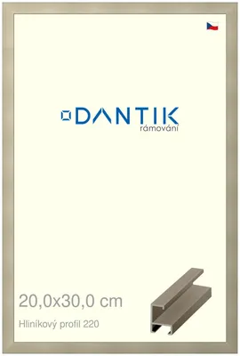 Obrázek produktu pro DANTIK rámeček 20x30 | ALU profil 6220 champagne (Sklo Čiré)