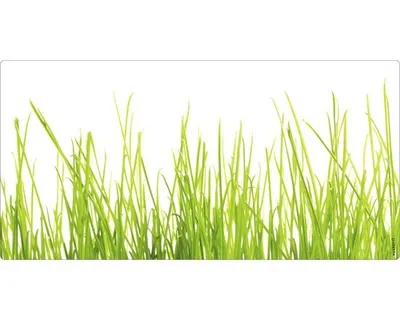 Produktbild von Badrückwand mySPOTTI aqua Gras 90x45 cm