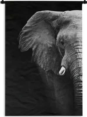 Produktbild von MuchoWow® Wandteppich Wandbehang Elefant - Schwarz - Weiß - Porträt 90x135 cm Tapisserie Dekoration Wandtuch - Baumwolle - Wandskulptur