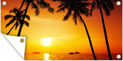 Produktbild von MuchoWow® 60x30 cm Outdoor-Poster Gartendeko Sichtschutz Garten Poster für den Garten  Palme - Sonnenuntergang - Strand - Orange - Tropisch
