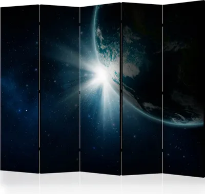 Produktbild von 5-teiliger Einseitiger Vlies Paravent - Earth II 225x172 cm Landschaften f-A-0090-z-c