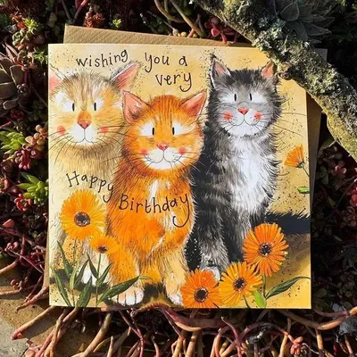 Produktbild von Geburtstagsset "Katzen und Kornblumen"