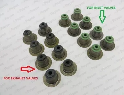 Produktbild von PAYEN Ventilschaftdichtung-Satz HR5063 für FORD Fiesta Mk6 Schrägheck (JA8, JR8) FPM (Fluor-Kautschuk)
