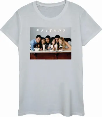 Obrázok produktu pre Friends - dámske tričko BI51205 (L) (Grey)