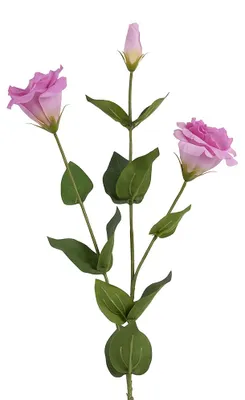 Immagine prodotto di Clayre & Eef, fiore artificiale in plastica, colore viola