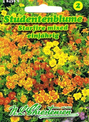 Produktbild von Studentenblume Starfire mixed | Studentenblumensamen von N.L. Chrestensen