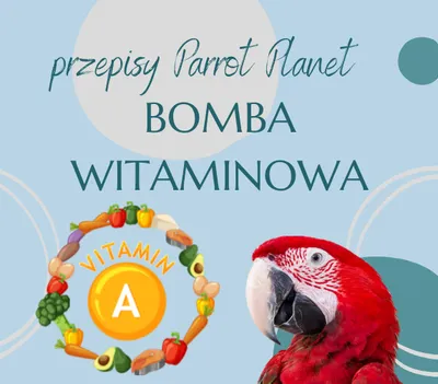 Zdjęcie produktu dla PAPUZIA Kuchnia ParrotPlanet- BOMBA WITAMINY A - Autorski Przepis Adzioszki z Parrot Disaster