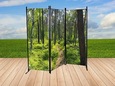 Produktbild von JW Paravent 170 x 165cm mit Fotodruck Motiv: Wald 2535-02
