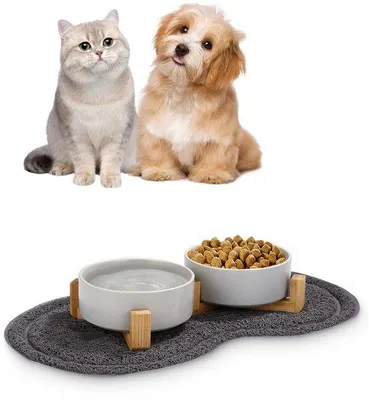 Image de Double gamelle pour chiens et chats avec support en bambou et fond antidérapant (400 ml, 2 verts)