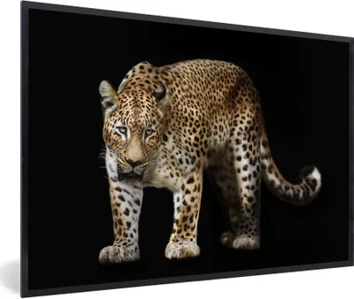 Produktbild von MuchoWow® Gerahmtes Poster Leopard - Wild - Schwarz 90x60 cm - Poster mit Schwarzem Bilderrahmen Wandposter Rahmen Foto Bilder - Fotorahmen - Foto-Plakat