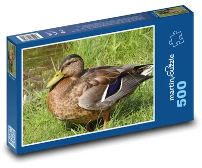 Produktbild von Puzzle 500 Ente am Teich - martinpuzzle
