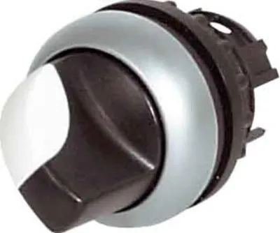 Image de Eaton bouton de sélection M22-WLKV-G 284395