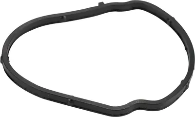 Produktbild von Original Fiat Ölpumpendichtung Ducato ab Baujahr 2011 55214206