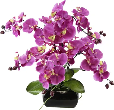 Productafbeelding van Kunstorchidee Phalaenopsis - Zijde bloem decoratie - Woonkamer decoreren - Realistische look - 40 x 36 x 36 cm - Paars