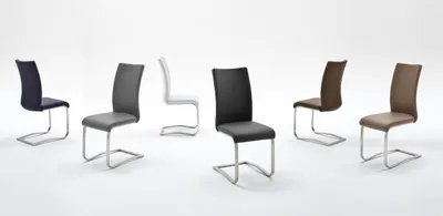 Produktbild von Arco Schwingstuhl, Echtleder braun, Edelstahlgestell