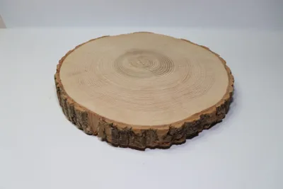Image de Rondelle de chêne 50x8cm, morceau de chêne, plaque de chêne, bois massif, tronc de chêne, tronc d'arbre, coupes de chêne