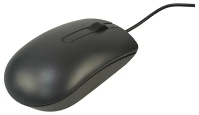 Obrázok produktu pre DELL MS116, Všestranný, Optický, USB Typ-A, 1000 DPI, Čierna