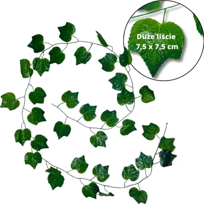 Immagine prodotto di Ghirlanda di edera - 235 cm