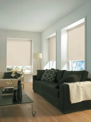 Produktbild von Gardinia Seitenzug-Rollo LICHTDURCHLÄSSIG 715 Uni champagner 142 x 180 cm