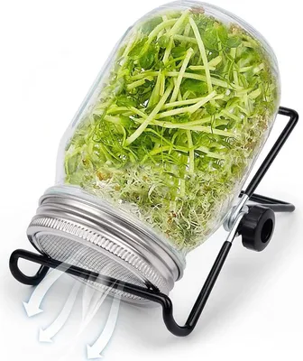 Produktbild von Seed Sprouting Kit, Sprouting Mason Jar mit Edelstahl-Sieb Deckel, Stand, Sprouting Kit für den Anbau von Miniatur-Sprossen Alfalfa Brokkoli Bohnensalat