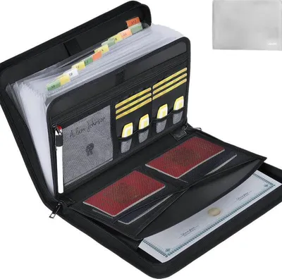 An open black document organizer with multiple compartments, showing passports, certificates, and a pen.