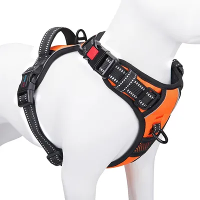 Productafbeelding van Hondentuig zonder trek, reflecterende vest met handvat, maat XL, oranje