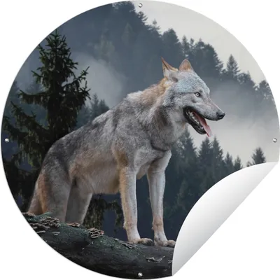 Produktbild von MuchoWow® Gartenposter Outdoor-Poster Rund Wolf - Tier - Wald Ø 120 cm Gartendeko Rundes Poster draußen
