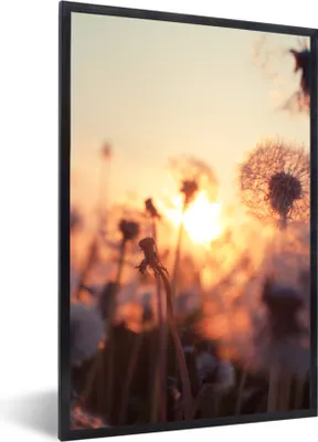 Produktbild von MuchoWow® Gerahmtes Poster Löwenzahn - Sonnenuntergang - Frühling 60x90 cm - Poster mit Schwarzem Bilderrahmen Wandposter Rahmen Foto Bilder - Kunst