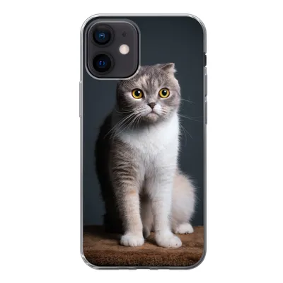 Produktbild von MuchoWow® Handyhülle Schutzhülle Hülle für iPhone 12 Katze - Haustiere - Licht Silikon Softcase Handy Hülle - Schutzhülle