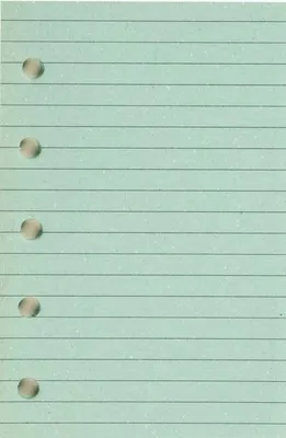 Imagen del producto de Insert para el organizador ST/línea verde ANTRA