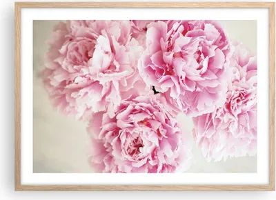 Produktbild von Gerahmtes Poster - Rahmen in heller Eiche - Pfingstrosen Blumenstrauß Blumen - 70x50 cm - Wand Bild - Wanddeko - Wandbilder - Kunstposter - Wandposter - Bilderrahmen - Bilder - P2NAA70x50-4961