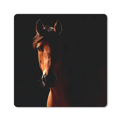 Produktbild von MuchoWow® Mauspad Mousepad Pferd - Licht - Porträt 20x20 cm - Mousepads - Maus Mat - Pad - Mausunterlage - Desk Mat - Bureauartikeln