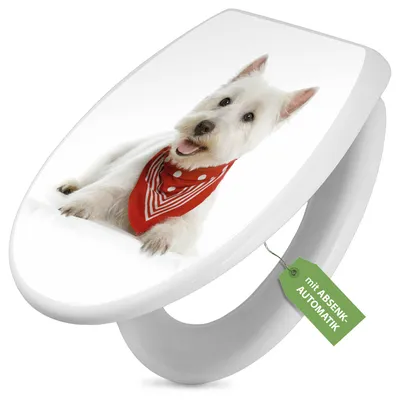 Produktbild von Toilettendeckel weiß mit Absenkautomatik und Motiv Froschkönig [TDW 10191]